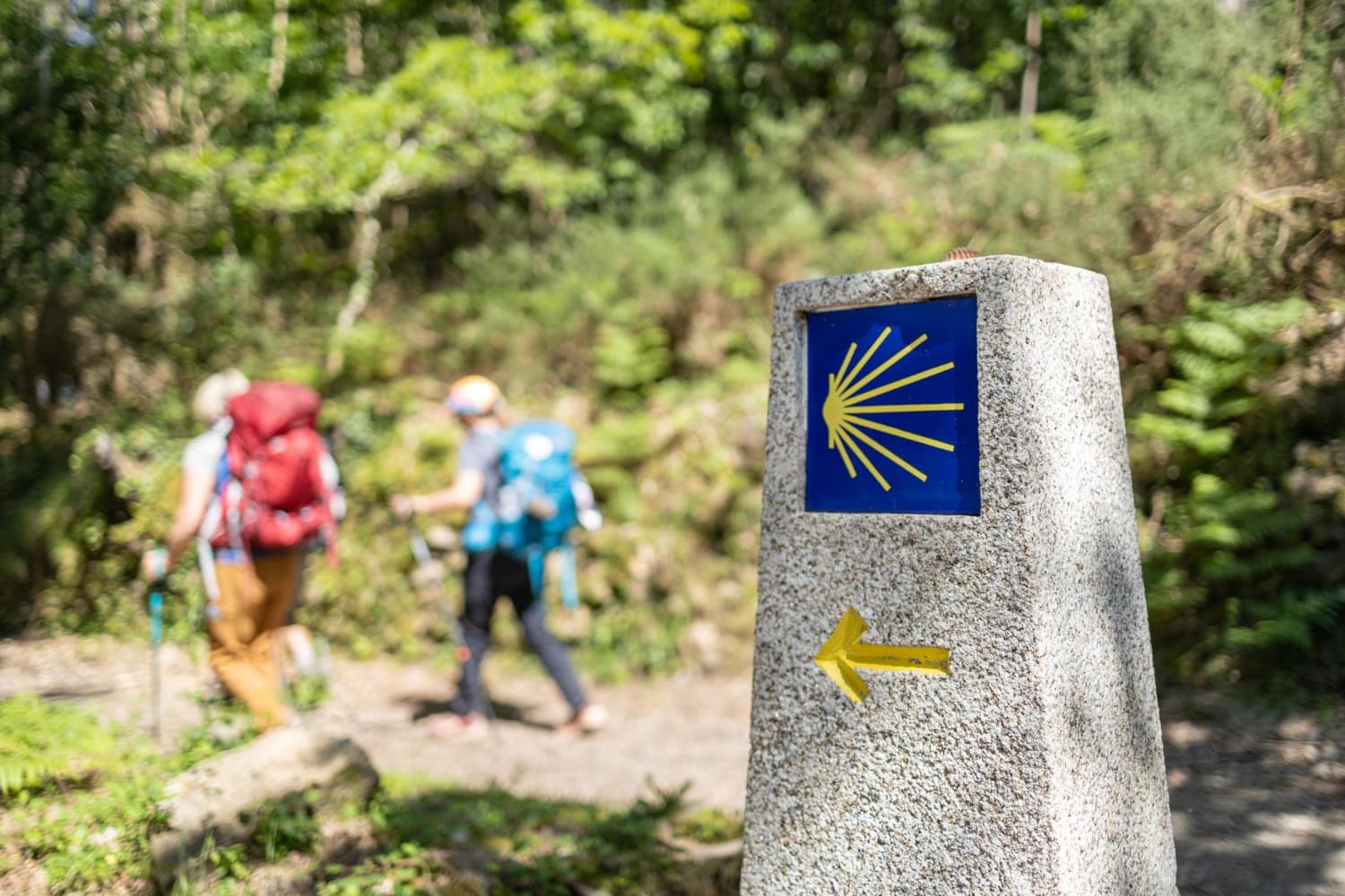 Camino de Santiago