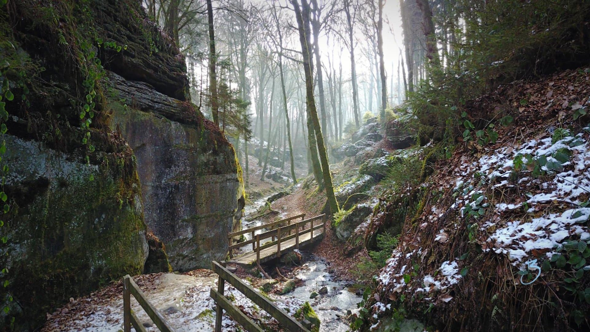 The Mullerthal Trail