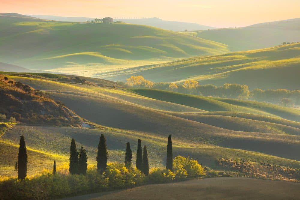 Via Francigena Part 3: Tuscany to Rome